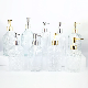  Luxury 500ml Transparent Hotel Glass Hand Wash Bottle with Metal Lotion Pump