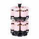 12PCS Glass Spice Jar Set Spice Shaker Bottle with Plastic Revolving Rack
