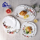 Wholesale High Quality Customized 7 Inch Decal Opal Plate