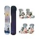 All Mountains Sandwich Structure Arctic Fox Snowboard