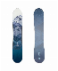 2023 New Arrival Wild Snow Sintered Base Carbon Fiber Ski Equipment Snowboard