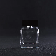 50ml 100ml Scent Empty Cosmetic Packaging Fragrance Polishing Perfume Bottles