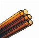  Clear and Amber Glass Tubes for Making Vaccine Vials