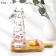  Customized Recyclable Glass Bottle with Clip Top Stopper Milk Bottle Condiment Bottle Suitable for Home Storage