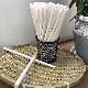 Biodegrad PLA Sugarcane Plasticsbiodegradables Straw
