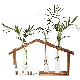  Wooden Stand Wall Hanging Planters with 3 Hydroponic Plant Glass Vase for Home Office