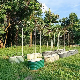  Garden Planter Garden Raised Bed Flower Bed (RDSG1408045-WO)