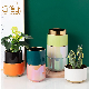  Colorful Pearlescent Plated Ceramic Flower Pot Round High-Grade Pot for Green Plants and Orchids