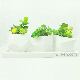  Home Decor Handmade Cement Succulent Plant Pot