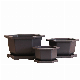  Chinese Factory Directly Wholesale New Hexangular Bonsai Pot for Training Plants
