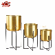  Indoor Plant Holder with Aluminum Pot Flowerpot