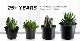  Black Gallon Pot - Plastic Flower Pot (#1-#7)