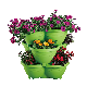  Vertical Decoration Plastic Flower Pot (KD3331-KD3332)