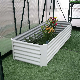  Greenhouse Use Flower Pot and Planter Rdsg1408045-Wo