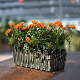  Desktop Fence Flower Pot for Succulents (KD1162-KD1163)