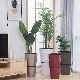  2023 New Design Flower Pots Planter for Succulents Orchid Combined Planter Pot Maceta for Living Room and Office Decoration Use (HG-3612)