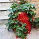 Multi-Pocket Greenherb & Strawberry Flower Pots or Plant Pot
