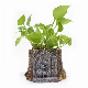  Pretty Design Garden Decoration Alice Resin Flower Pot Planter