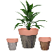  Home Goods Creative Flowerpots Large Plastic Coloured Plant Pots