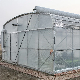  WMGH084 Polycarbonate green house large size high tunnel agricultural plant greenhouse