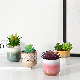  Tabletop Small Ceramic Cylinder Reactive Glaze Succulent Plants Indoor Flower Pot