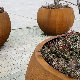  Corten Steel Flower Pot for Outdoor