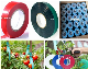  Chinese Supplier Agriculture Plastic PVC PE Waterproof Farm Garden Tapetool Plant Tie Tape for Grapes Tomatoes Peppers Cucumbers Pumpkin Eggplant Bean Fixing
