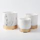  Free Sample Basic Customization Nordic Decor Modern Pots Desktop Ceramic Plant Container