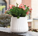  Rattan Plastic Flower Pot Plant Pot (KD2211-KD2214)