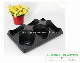 6 Holes Shuttle Trays for Flower Pots