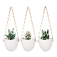  3 Pieces White Pot Indoor Ceramic Flower Pot Wall Hanging Self-Watering Planter for Bonsai Plants Home Decoration Esg17465