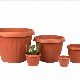  Garden Terrecota Plant Pot Plastic Flowerpots Round or Square