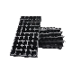 Cells Seed Plant Germination Vegetables Flower Growing Tray manufacturer