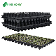 PS Plastic Flower Seed Tray Different Cell Tray Vegetable Seeding Tray Seed Sprouting Tray