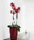  Home Decor Flowerpot Plastic Luxury Style for Garden