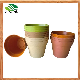 Biodegradable House Flower Plant Pot