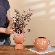  Ceramic/Terracotta Flower Pot Wholesale Girl Face Succulent Flower Pots & Planters Plants