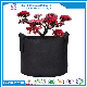 OEM Felt Manufacturer High Quality Greenhouse Planting Felt Grow Bag
