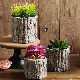  Retro Tree Wood Skin Cement Flower Pot Planter for Garden Decor