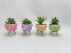  Cement Wood Legs Plant Pot with Faux Succulent