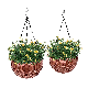  Self Watering Hanging Basket Plants Flower Plant Pot Brown Hanging Planters