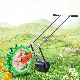  Planting Corn No Till Drill Farm Machine Cabbage Seeder Seed Planter