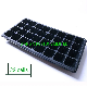 32 Cells Plastic Hydroponic Seed Trays Plant Seedling Nursery Tray