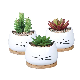 White Cute Cat Desktop Ceramic Succulent Cactus Pot with Bamboo Tray