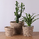  Rustic Style Rough Surface Round Home Decor Concrete Planters Pot