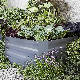 WMPB058 Planter Box Steel Gardening Metal Raised Garden Beds For Vegetables