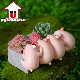  Animal Craft Ornament Pig Sink Flower Pot Resin Statue Furniture Promotional Gift