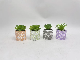  Set of 4 Mini Potted Faux Succulent