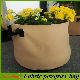  Garden/Balcony/Greenhouse/Landscaping Fabric Breathable Grow Bag Planter