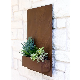 Corten Steel Flower Pot for Succulent Planting
